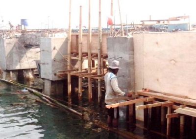 Repair & Strengthing Jetty or Port